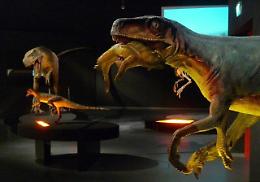 Auronzo torna all’era dei dinosauri: arriva la mostra diffusa “All’alba delle Tre Cime”