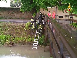 Piove di Sacco, uomo cade in canale e resta incastrato