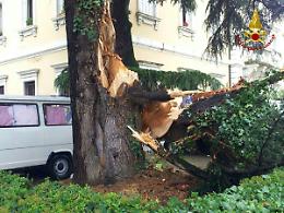 Piazzola sul Brenta, uomo travolto da un albero