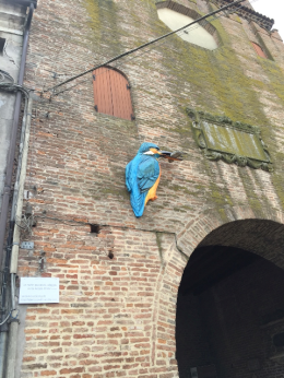 Rovigo, secondo appuntamento con il Progetto Icaro