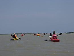 Canoa nel Delta del Po, 80 atleti da tutto il Nord-Est