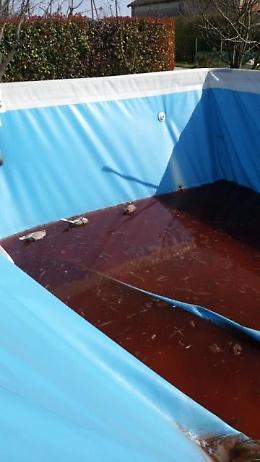Bovolenta: Allarme per acqua e terreno rosso, le analisi, niente di preoccupante