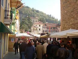 La sfida dei commercianti: "Vogliamo il distretto urbano a Monselice”