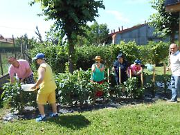 Mirano. Premio europeo a "Bloom Again"