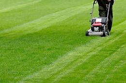 Codevigo, anziano muore mentre taglia l'erba