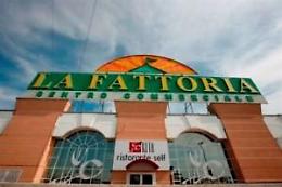 Rovigo, furto nella profumeria del centro commerciale "La Fattoria"
