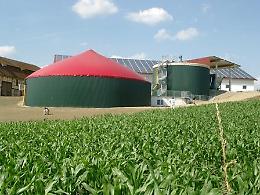 Limena: biogas, normativa da aggiornare, Costa propone una mozione