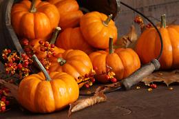 La Festa della Zucca torna a Piove di Sacco