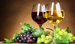 Villorba, "Secret Tasting": una sfida al palato tra vini biologici da scoprire alla cieca