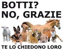 Capodanno, a Rovigo vietati i botti