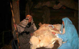 Natale in Riviera e Miranese, pioggia di iniziative