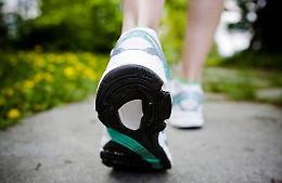 Quarto d'Altino (Ve), presentazione del progetto "Camminare il Bello della vita"