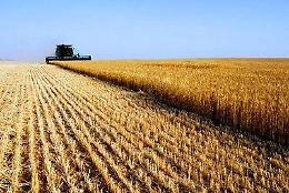 Migliaia di ettari incolti ai giovani agricoltori: la Regione approva le norme attuative della "banca della terra"