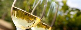 300% wine experience: una regione a portata di calice!