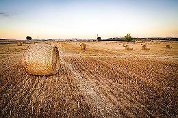 Terremoto: da Padova due carichi di fieno per le aziende agricole colpite dal sisma