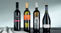 Prosecco e Pinot grigrio: opportunità da cogliere per la Doc Merlara
