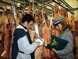 Coldiretti: agromafia, aumentano le infiltrazioni in Veneto
