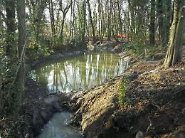Un nuovo look per il parco di villa Bianchini a Zianigo