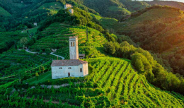 Ca’ del Poggio Run: la mezza maratona accende le colline del Prosecco il 19 ottobre