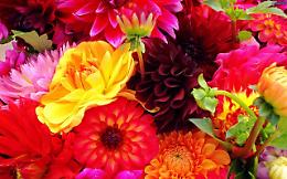 Rovigo: Sapori in fiore, terra e arte dal 7 al 9 aprile