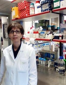 Padova, nuovo studio su Ipertensione, Fibrillazione Atriale e Aldosteronismo