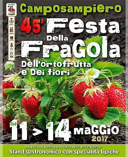 Festa della fragola a Camposampiero