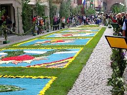 Tutto pronto per la tradizionale “Infiorata” a Noale