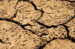 17 giugno, Giornata Mondiale della Siccità: la Terra che chiede aiuto nell’Era del cambiamento climatico