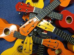 Rovigo, nuovo appuntamento con Ukulele Lovers