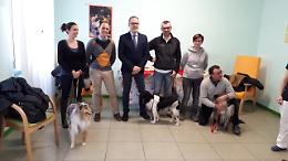 I migliori amici degli anziani