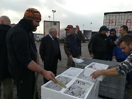 Baretta e Crivellari incontrano i pescatori del Delta: “Verso la risoluzione del nodo sgravi contributivi”