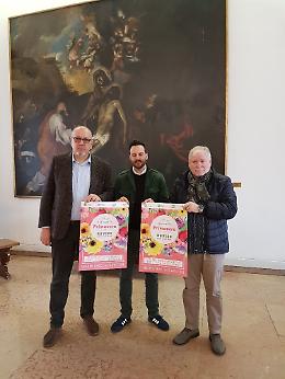 Festa di primavera "Rovigo città delle rose"