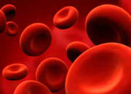 Analisi Lipidomica e Omega- 3