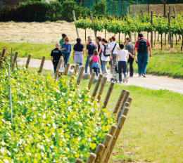 Quando il Nepal è la Franciacorta