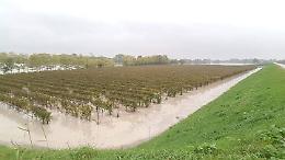 Maltempo, Coldiretti: Stato di calamità per l'agricoltura