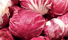 Il principe rosso di Chioggia “conquista” la terra di Babbo Natale
