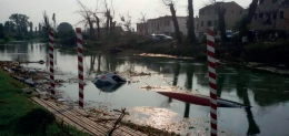 Dolo: tornado 2015, soldi per nuovi alberi