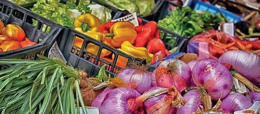 Rosolina: Mercato Ortofrutticolo in vendita, passato e futuro di un simbolo