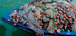 Porto Tolle: le aree Sic preoccupano la pesca