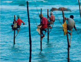Sri Lanka, bello e possibile