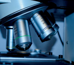 Istrana: Labomar investe 20 milioni per la nuova area