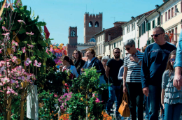 Tutto pronto per la 40esima edizione della mostra mercato “Noale in Fiore”
