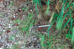 Allarme droga nei parchi pubblici e aree verdi di Mira Taglio, Mira Porte e Oriago