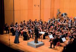La violinista che ha incantato Rovigo
