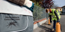 Conselve: zanzara tigre, piano di azione per ridurre il rischio West Nile, appello ai privati