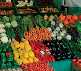 Nuove regole per il mercato di Treviso: più ordine, qualità e stop alla vendita di prodotti usati