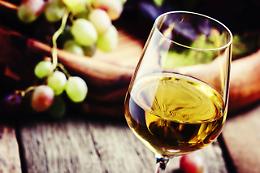 Pinot grigio: tra sei giorni al via la vendemmia in Veneto