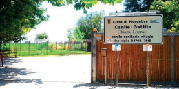 Monselice. Canile municipale, a breve il progetto di sistemazione 