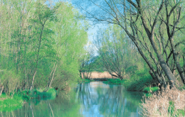 Turismo “veloce” in crescita a Quinto di Treviso: 15% in più in soli due anni