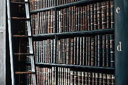 Torna ad Adria la Notte Bianca delle Biblioteche